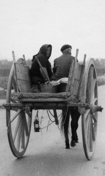 Odoo • Immagine e testo